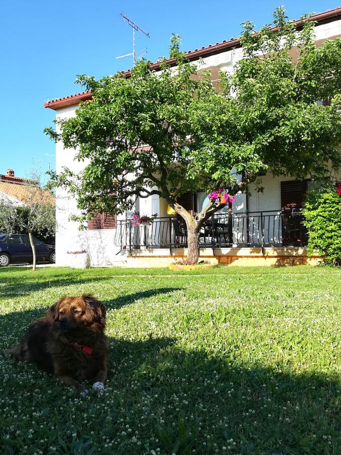 Villa Nina Poreč Dış mekan fotoğraf